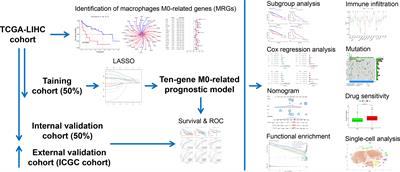 Prognostic prediction and multidimensional dissections of a macrophages M0-related gene signature in liver cancer